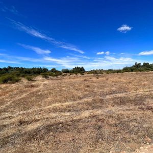 Proyecto El Refugio