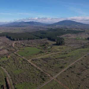 Proyecto Lajuela Alto Peral